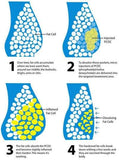 Lipolab